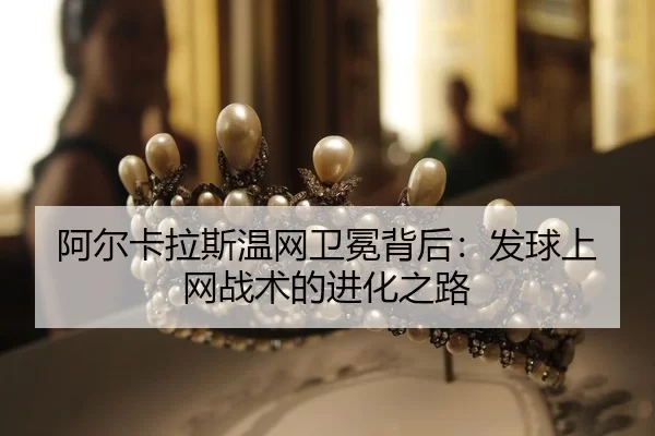 a-er-ka-la-si-wen-wang-wei-mian-bei-hou-fa-qiu-shang-wang-zhan-shu-de-jin-hua-zhi-lu-2-176.jpg