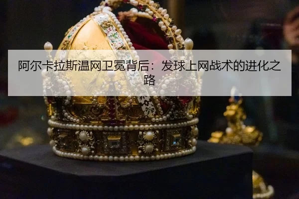 a-er-ka-la-si-wen-wang-wei-mian-bei-hou-fa-qiu-shang-wang-zhan-shu-de-jin-hua-zhi-lu-3-646.jpg