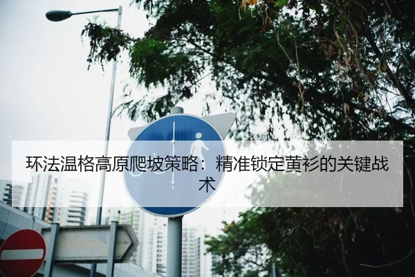 环法温格高原爬坡策略：精准锁定黄衫的关键战术
