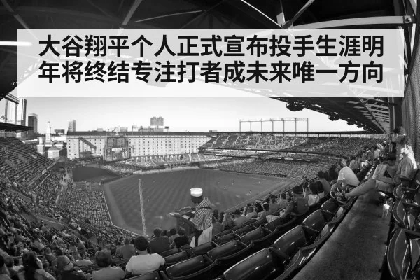 baseball stadium crowd