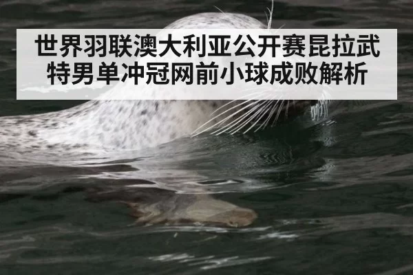世界羽联澳大利亚公开赛昆拉武特男单冲冠网前小球成败解析